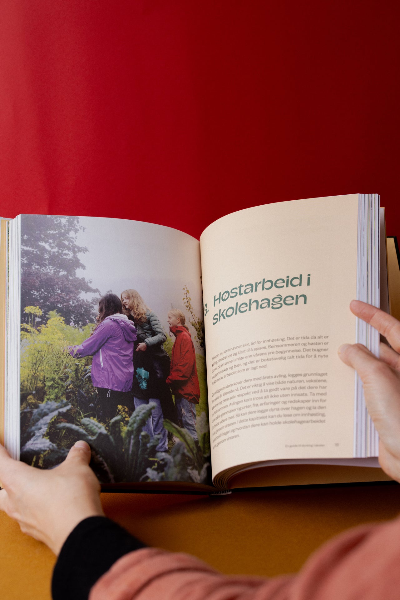 Skolehagedyrkeboka - en guide til dyrking i skolen