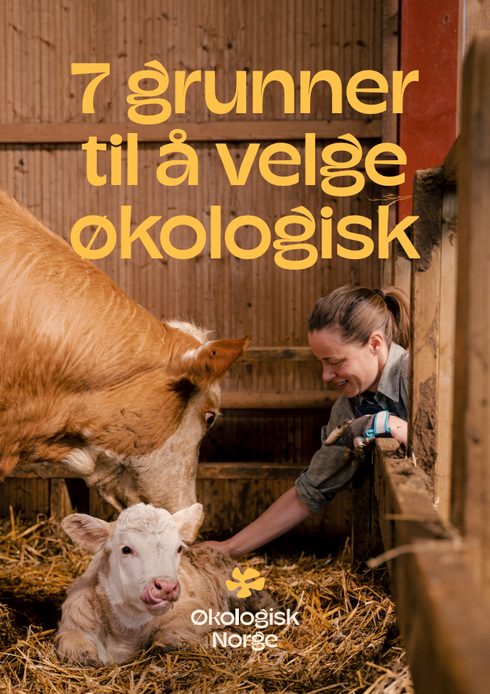 7 grunner til å velge økologisk