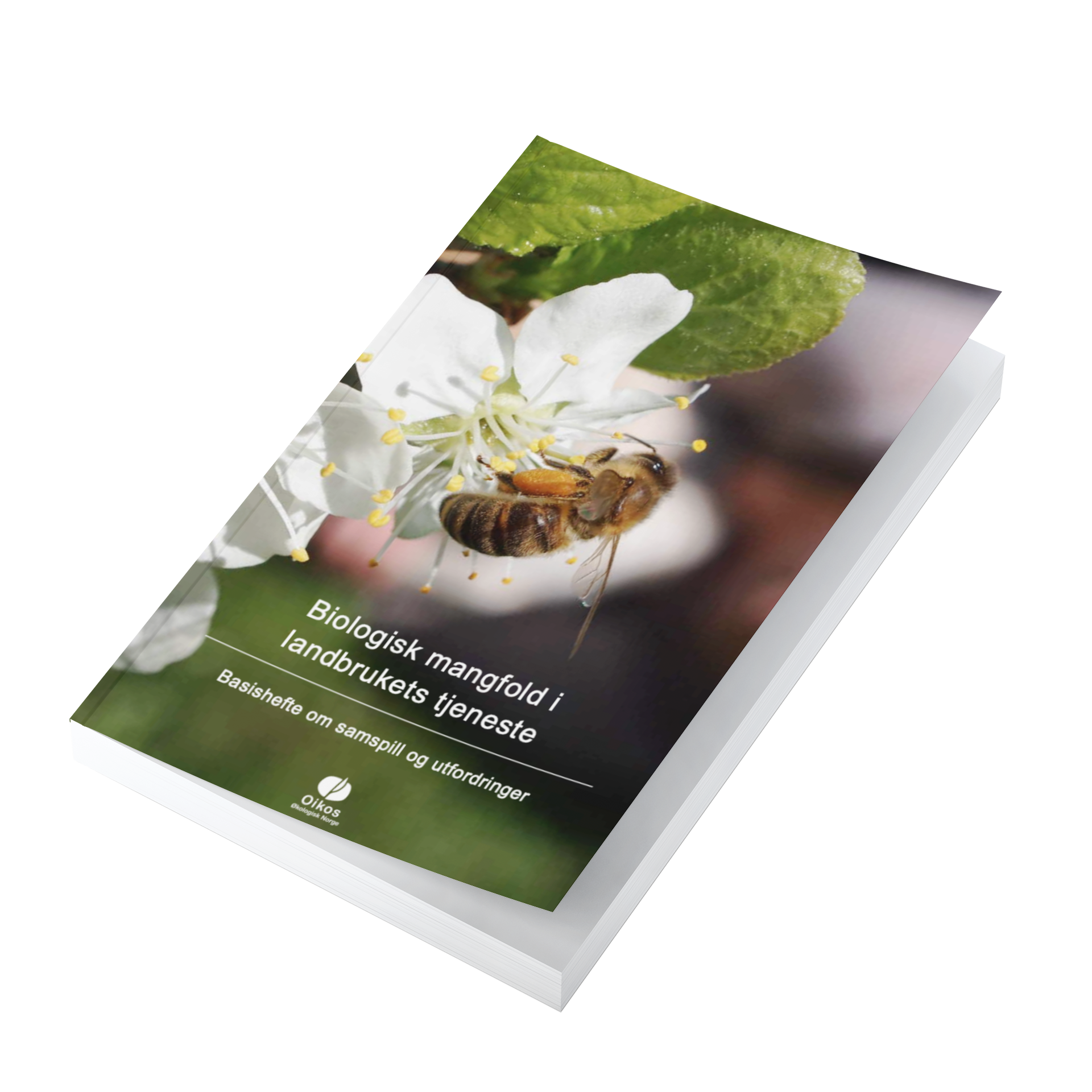 Biologisk mangfold i landbrukets tjeneste